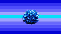 Hydrangean