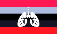 Ycgmagender